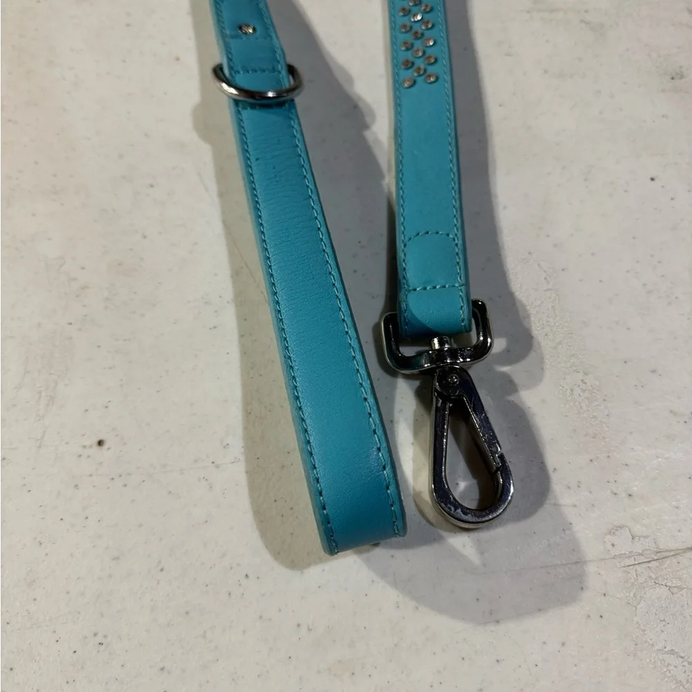 Teal Leather Dog Leash with Rhinestone Accents